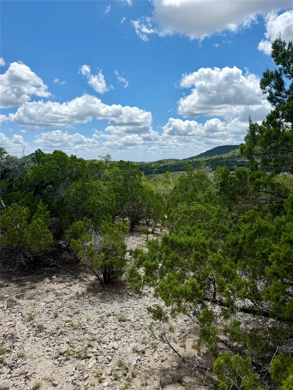 W Bear Spring Road Pipe Creek, TX 78063