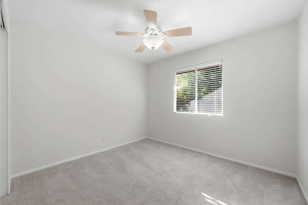 1906 Aster Pass Cedar Park, TX 78613