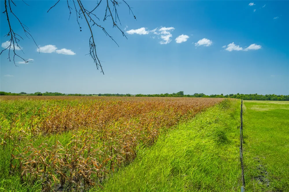 1750 FM 1063 Taylor, TX 76574