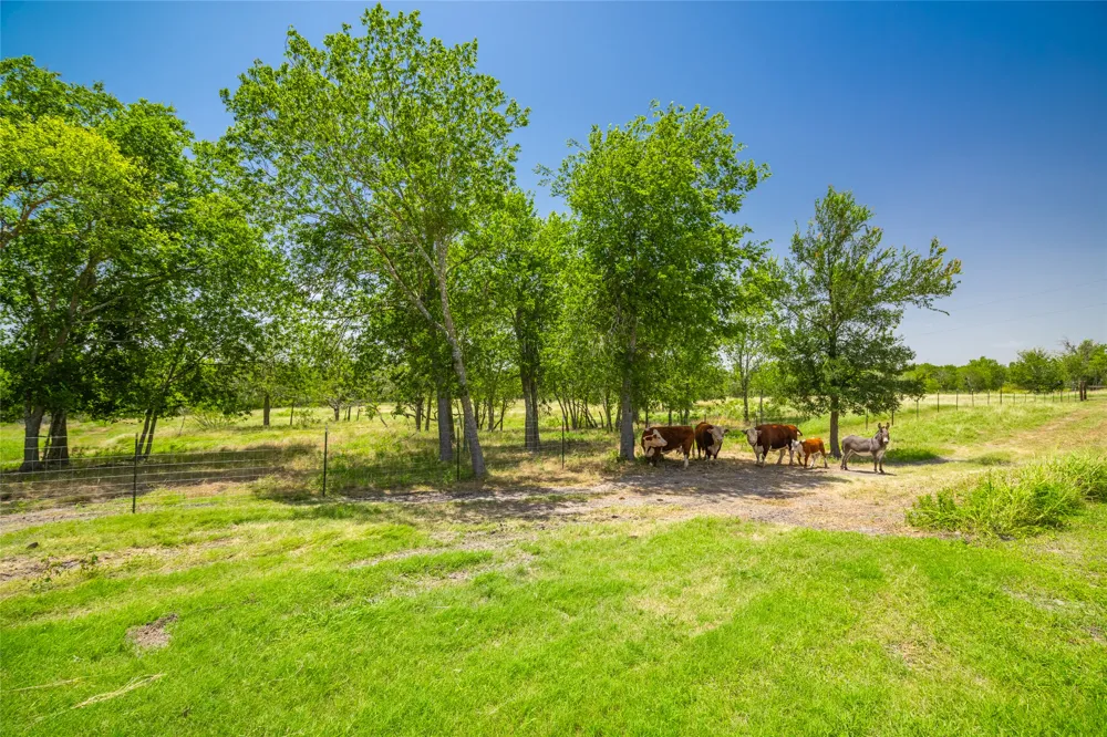 1750 FM 1063 Taylor, TX 76574