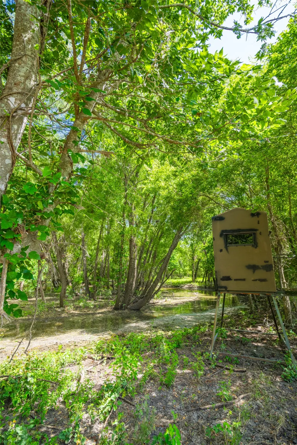 1750 FM 1063 Taylor, TX 76574