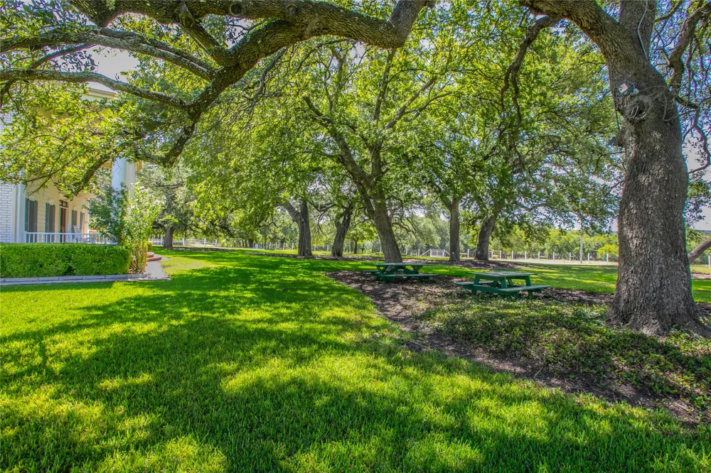 10299 Paddy Hamilton Road Belton, TX 76513