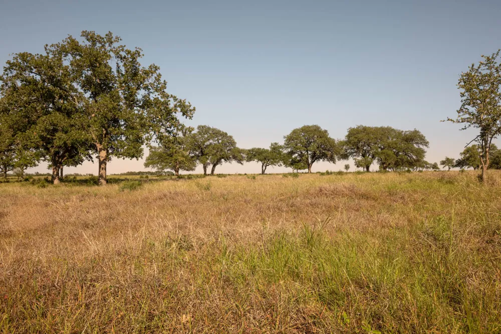 367 Gipson Road Johnson City, TX 78636