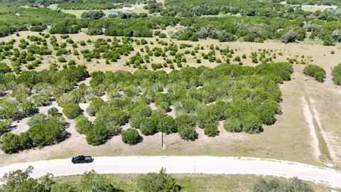 16 Stargazer Drive