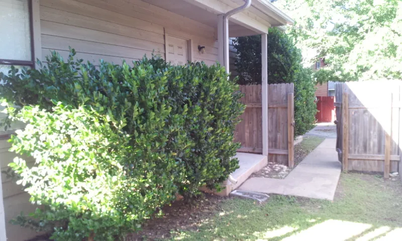 8807 Schick Road #D Austin, TX 78729