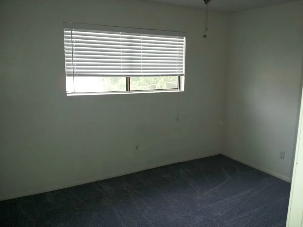 8807 Schick Road #D Austin, TX 78729
