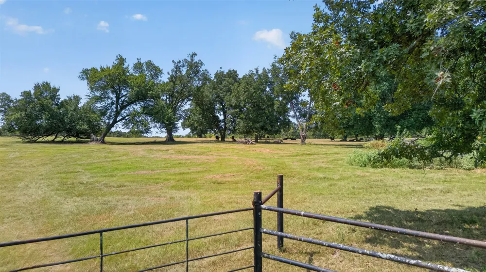 State Hwy 155 & CR 435 Frankston, TX 75763