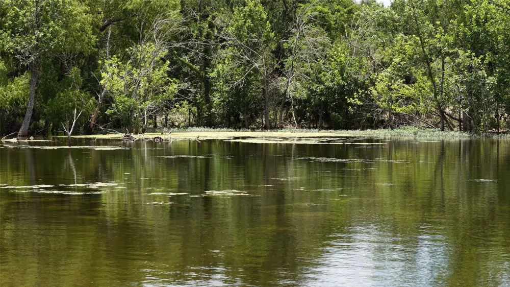 FM 2268 Holland, TX 76534