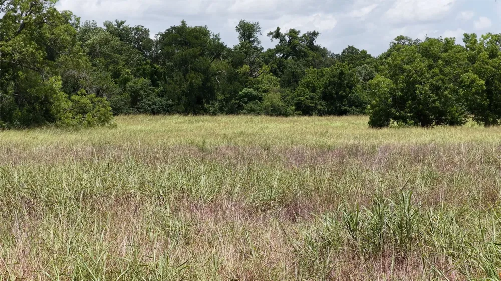 FM 2268 Holland, TX 76534