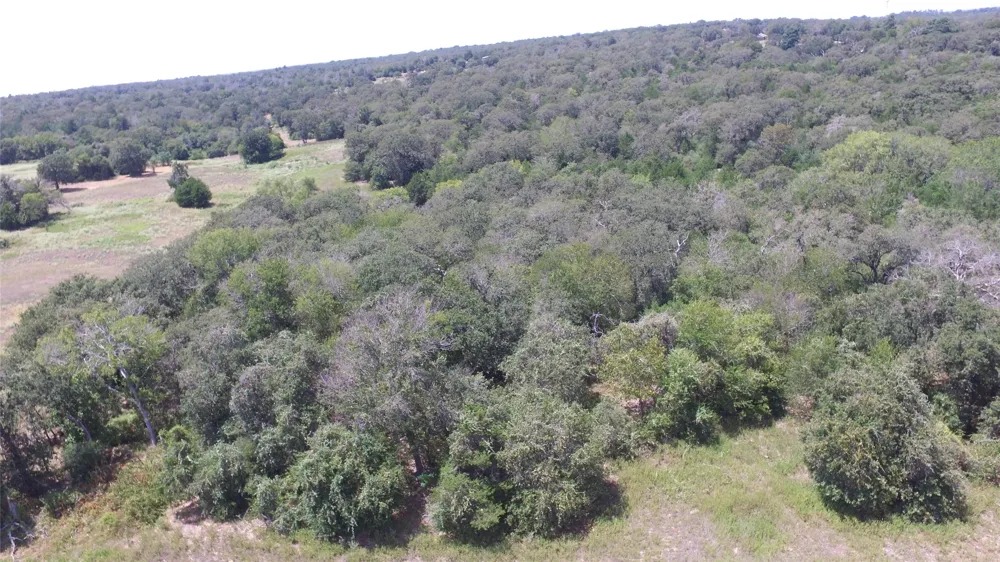 County Road 238A Road Cameron, TX 76520