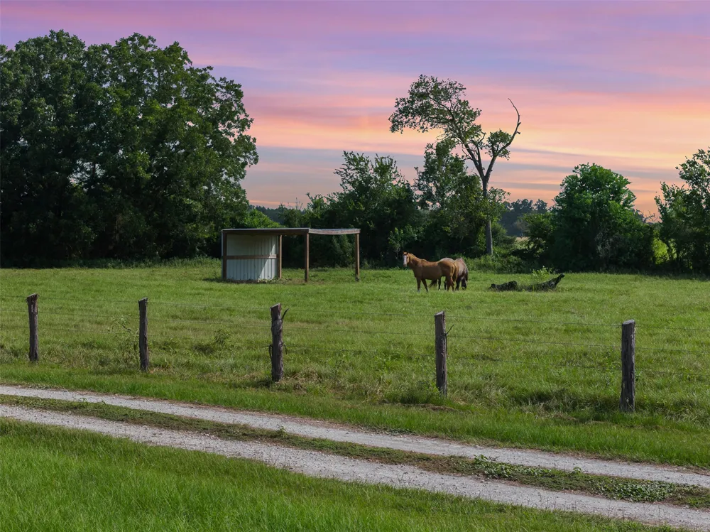 11043 County Road 336 Caldwell, TX 77836