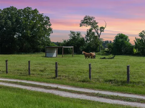 11043 County Road 336