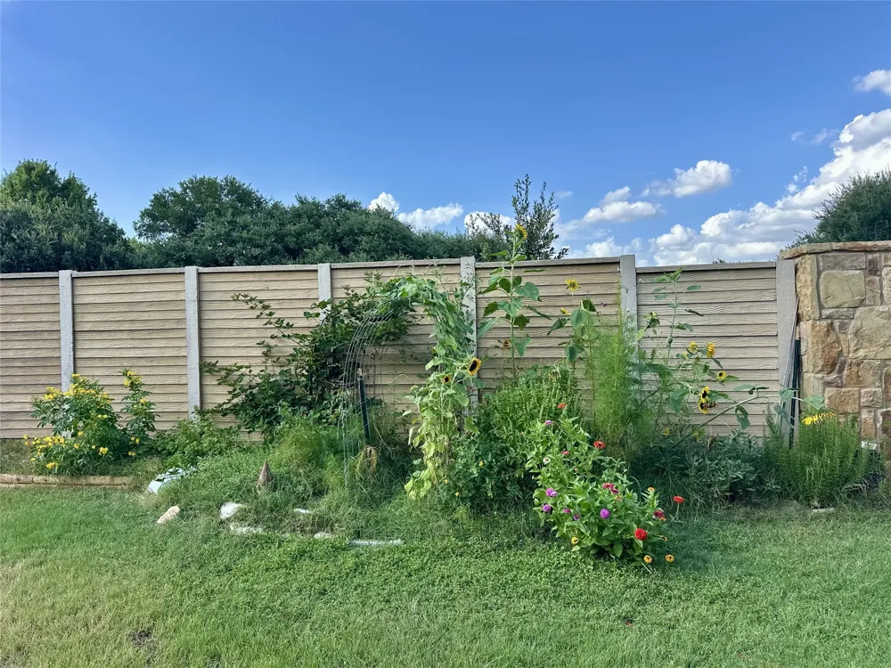 1801 Shooting Star Cove Cedar Park, TX 78613