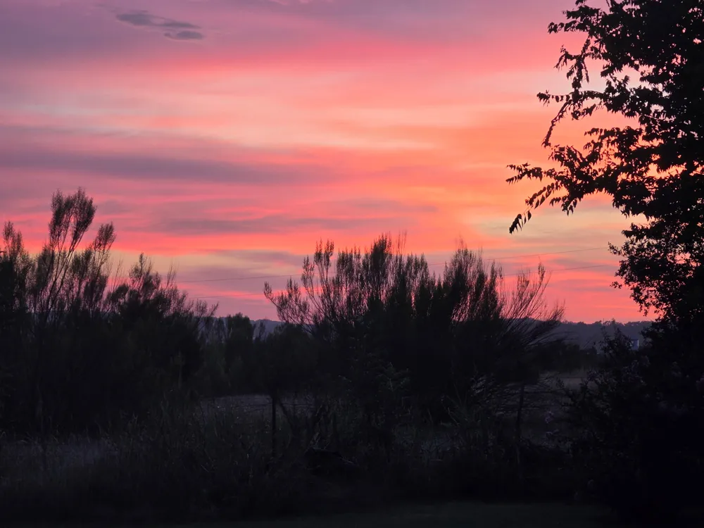 207 Meadow Oaks Drive Dripping Springs, TX 78620