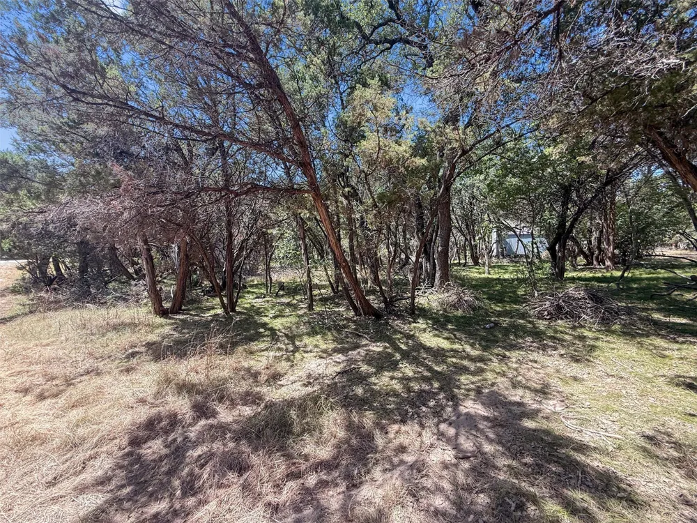 225 Fawn Ridge Leander, TX 78641