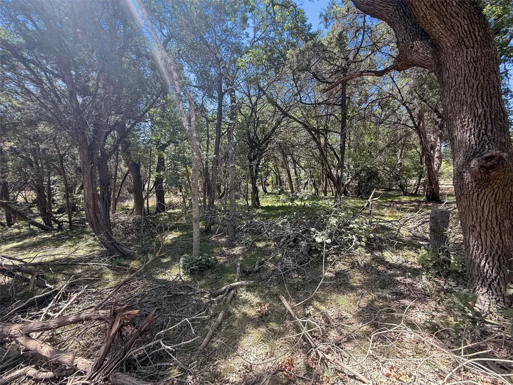 225 Fawn Ridge Leander, TX 78641