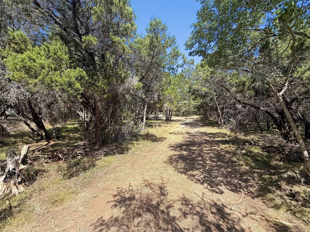 225 Fawn Ridge Leander, TX 78641