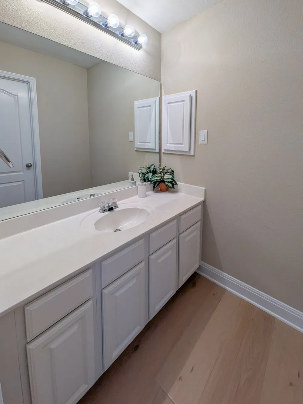 1322 Becca Teal Place Round Rock, TX 78681
