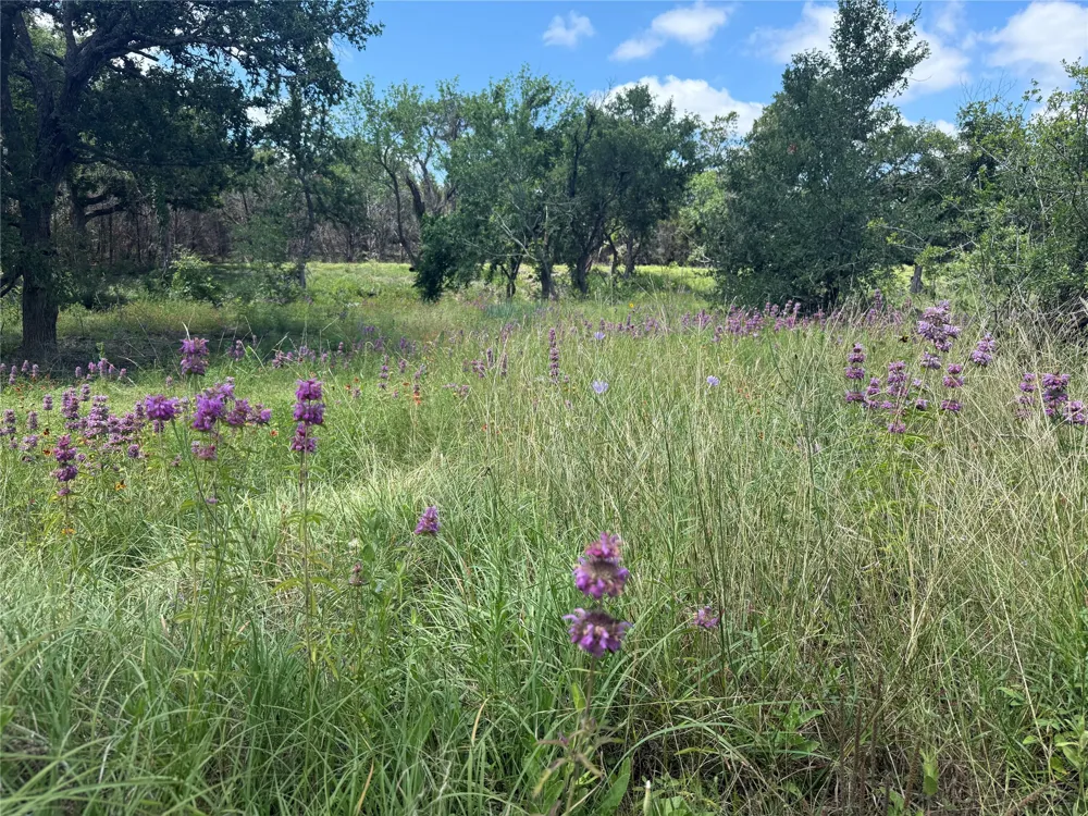 5150 CR 254 Bertram, TX 78605