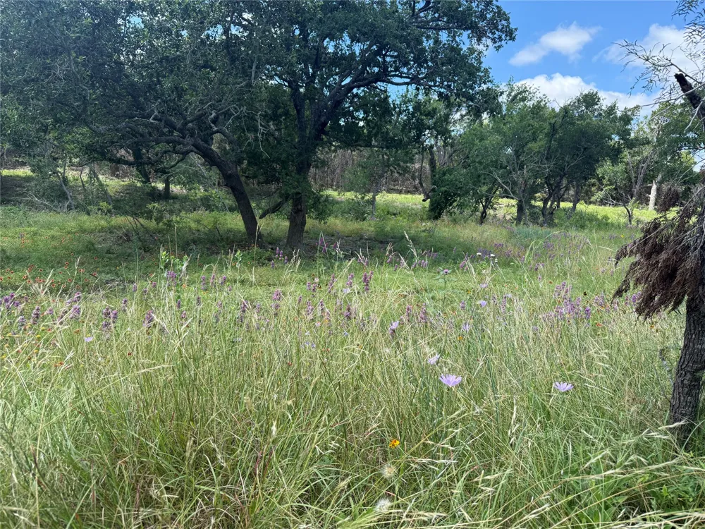 5150 CR 254 Bertram, TX 78605