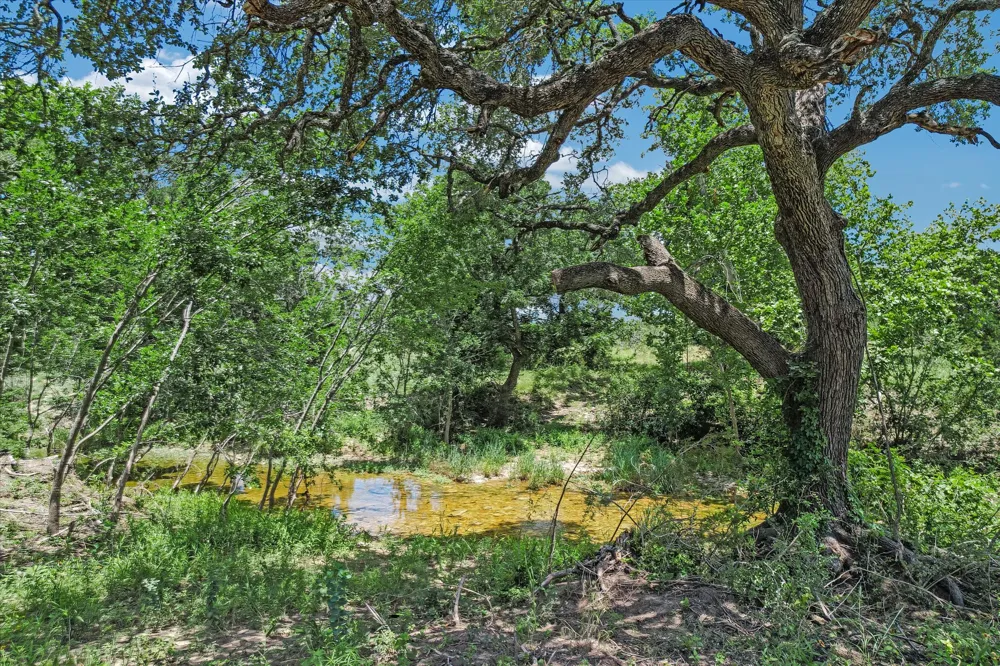 5150 CR 254 Bertram, TX 78605
