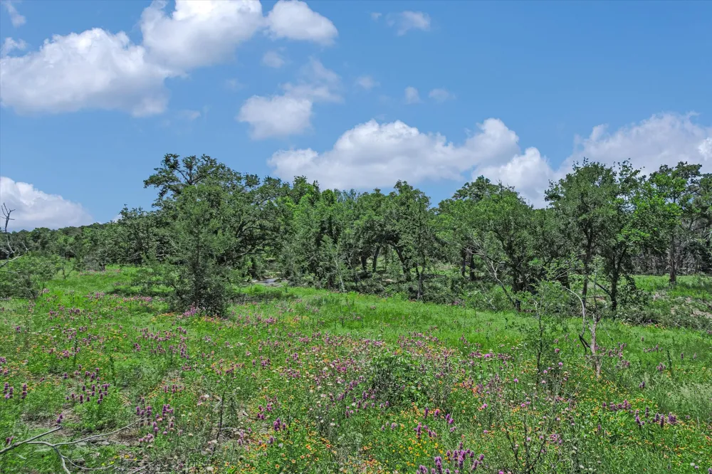 5150 CR 254 Bertram, TX 78605