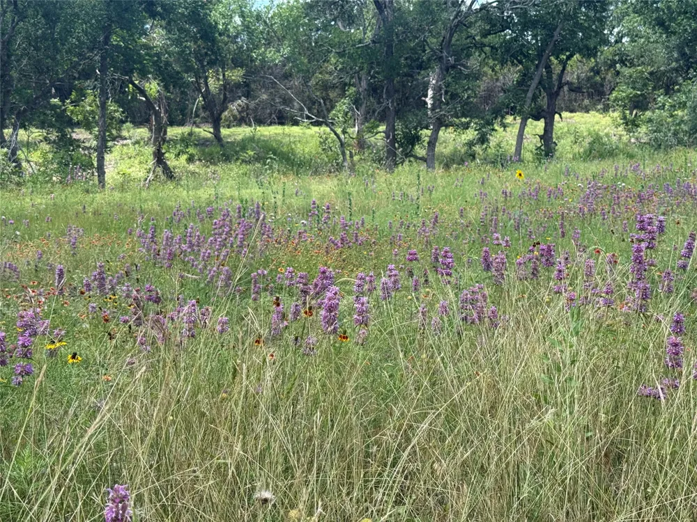 5150 CR 254 Bertram, TX 78605