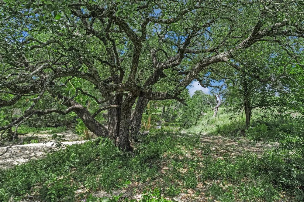 5150 CR 254 Bertram, TX 78605