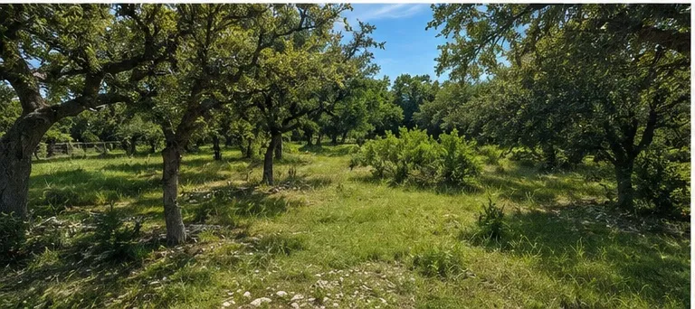 790 Private Road 905 Liberty Hill, TX 78642