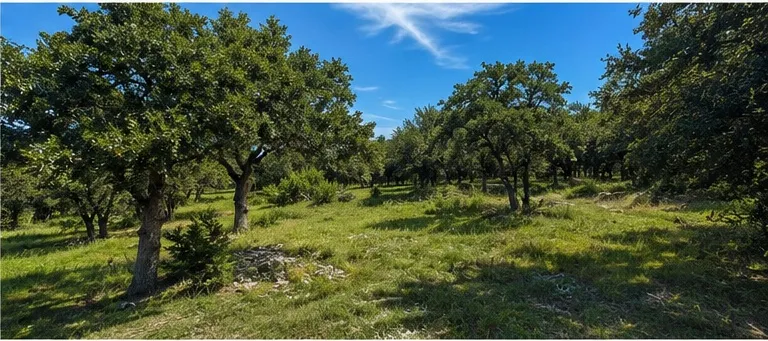 790 Private Road 905 Liberty Hill, TX 78642