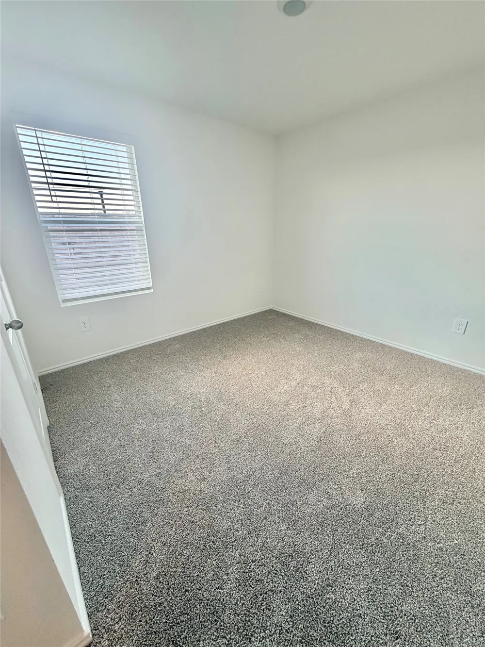 214 Balmorehea Street Kyle, TX 78640