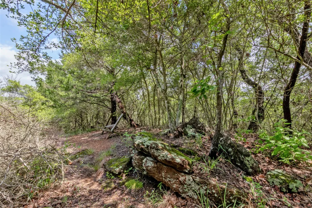 9997 Calhoun Road Bryan, TX 77808