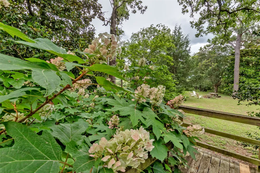 9997 Calhoun Road Bryan, TX 77808