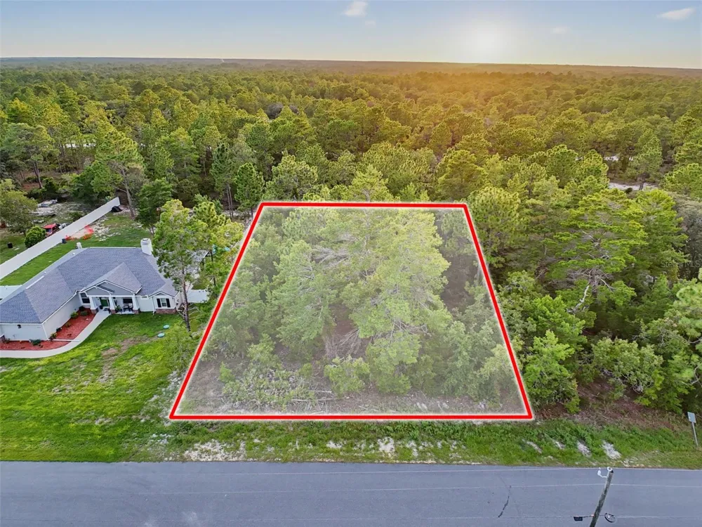 18367 MABERLY ROAD Weeki Wachee, FL 34614