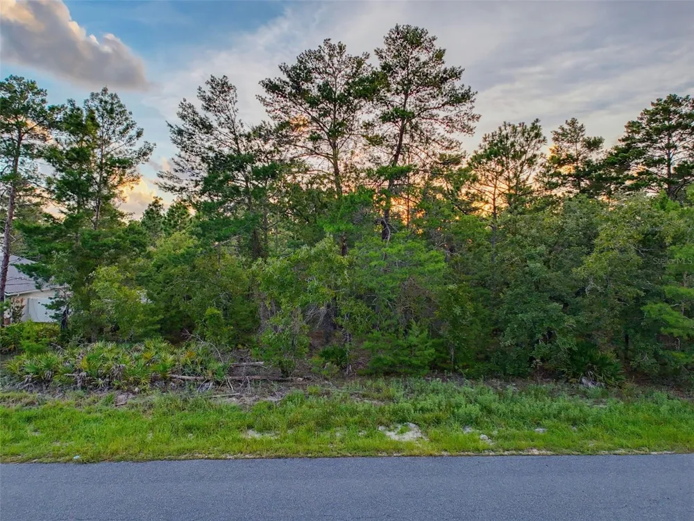 18367 MABERLY ROAD Weeki Wachee, FL 34614