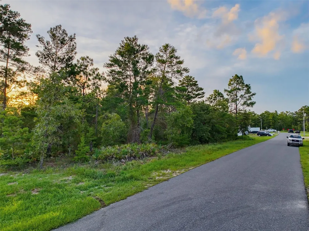 18367 MABERLY ROAD Weeki Wachee, FL 34614