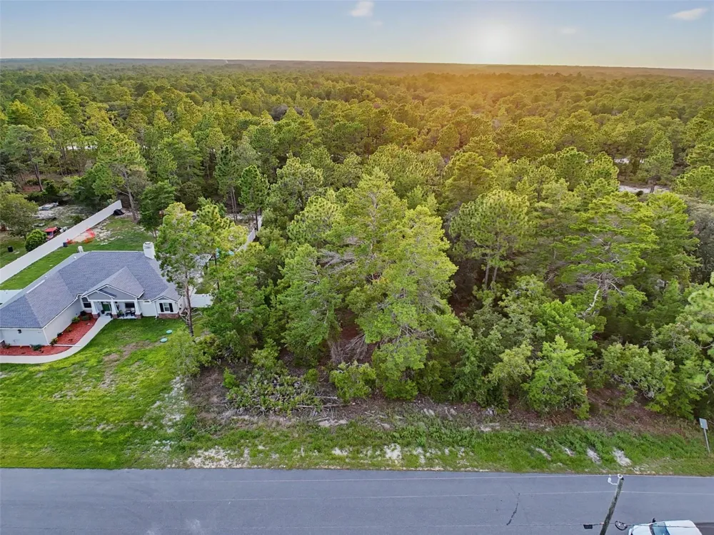 18367 MABERLY ROAD Weeki Wachee, FL 34614