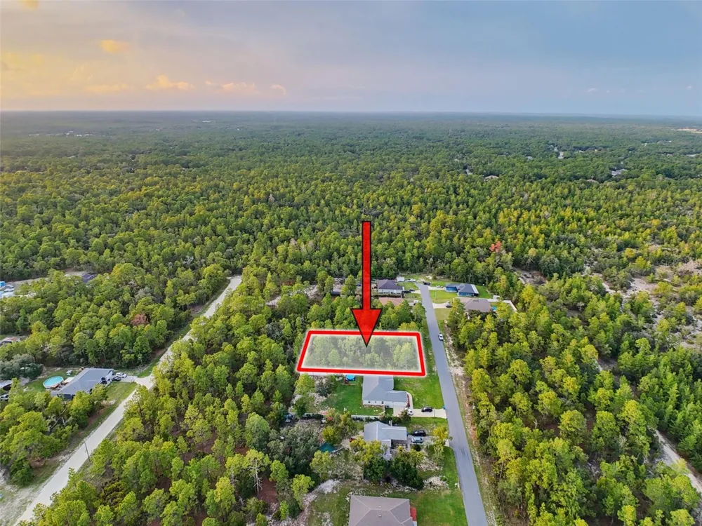 18367 MABERLY ROAD Weeki Wachee, FL 34614
