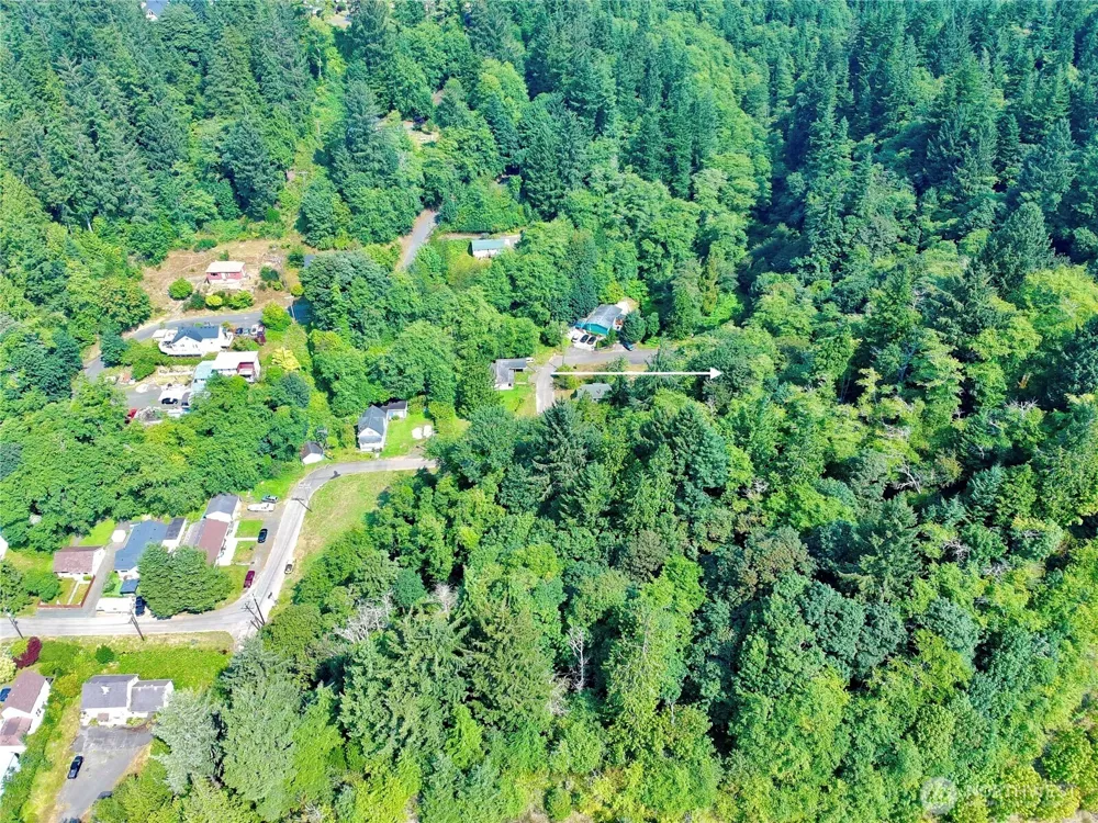 0 Blk 5 Lots 1-4 Henry Street Aberdeen, WA 98520