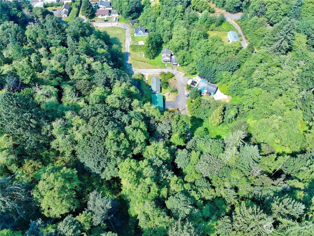 0 Blk 5 Lots 1-4 Henry Street Aberdeen, WA 98520