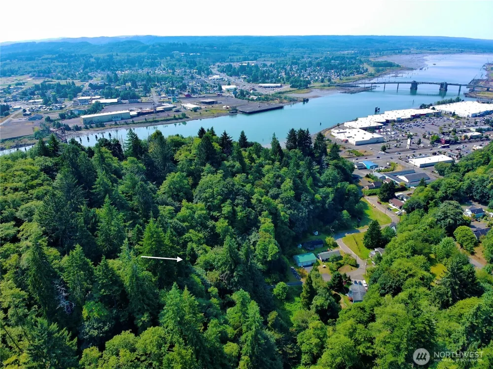 0 Blk 5 Lots 1-4 Henry Street Aberdeen, WA 98520