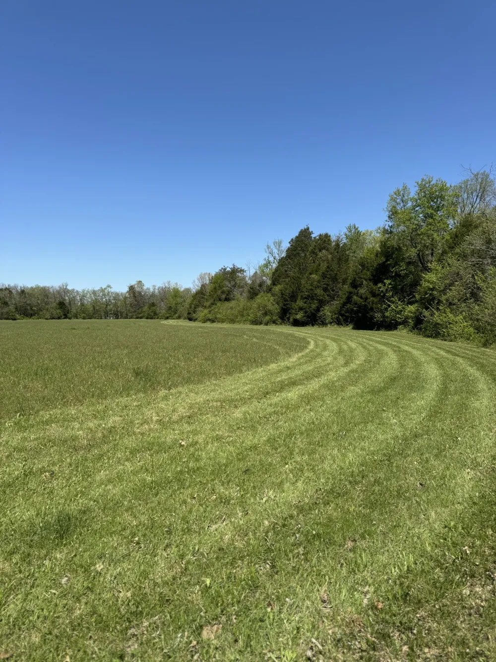 0 Zion Hill Rd Unionville, TN 37180