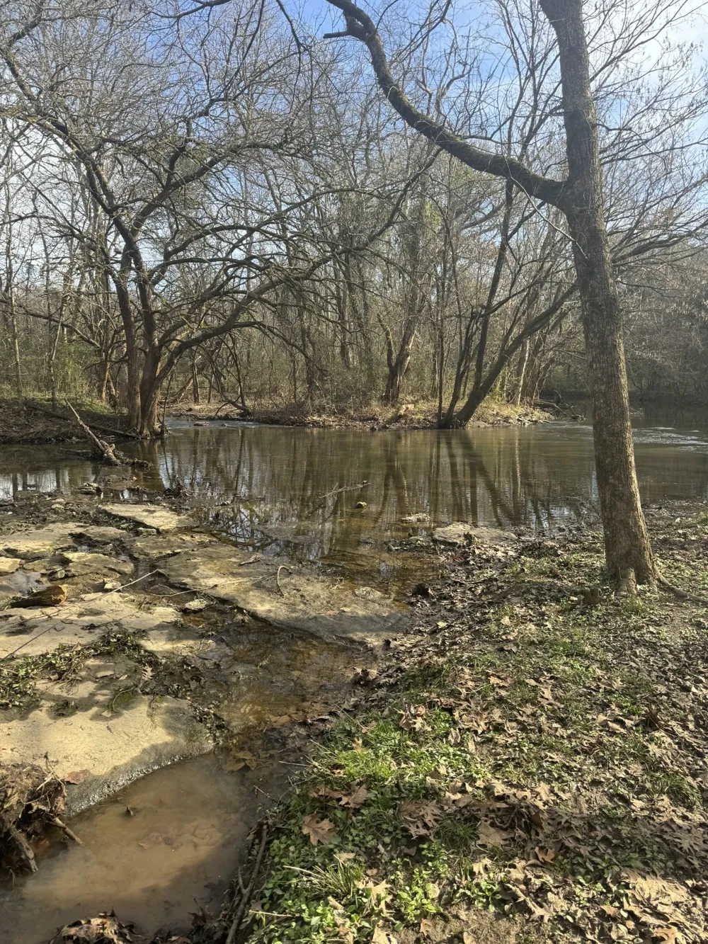 0 Zion Hill Rd Unionville, TN 37180