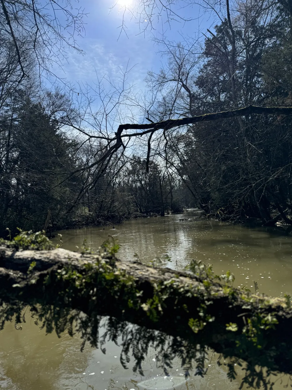 0 Zion Hill Rd Unionville, TN 37180