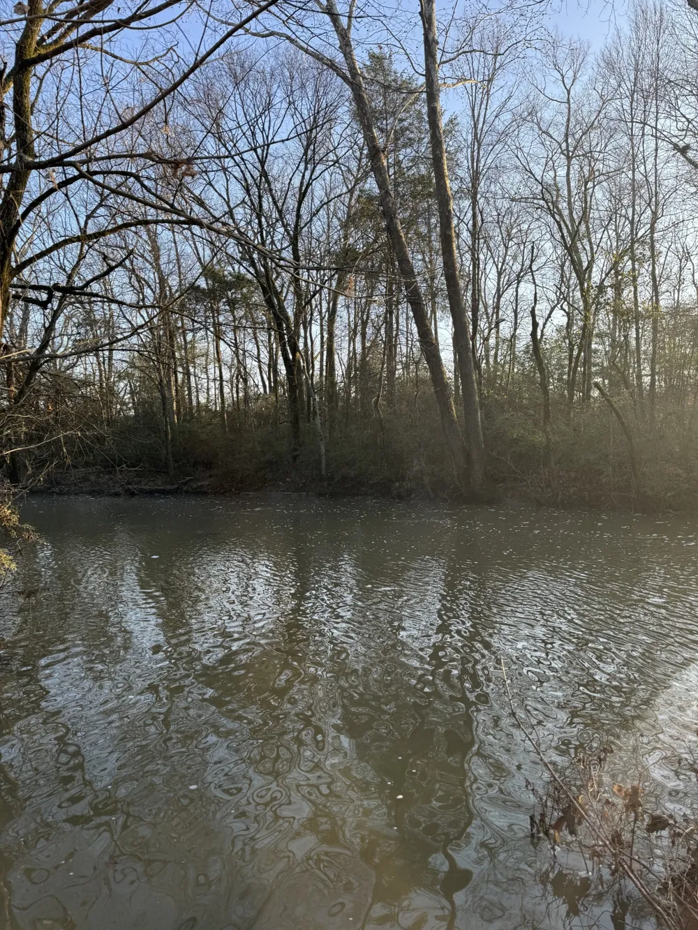 0 Zion Hill Rd Unionville, TN 37180