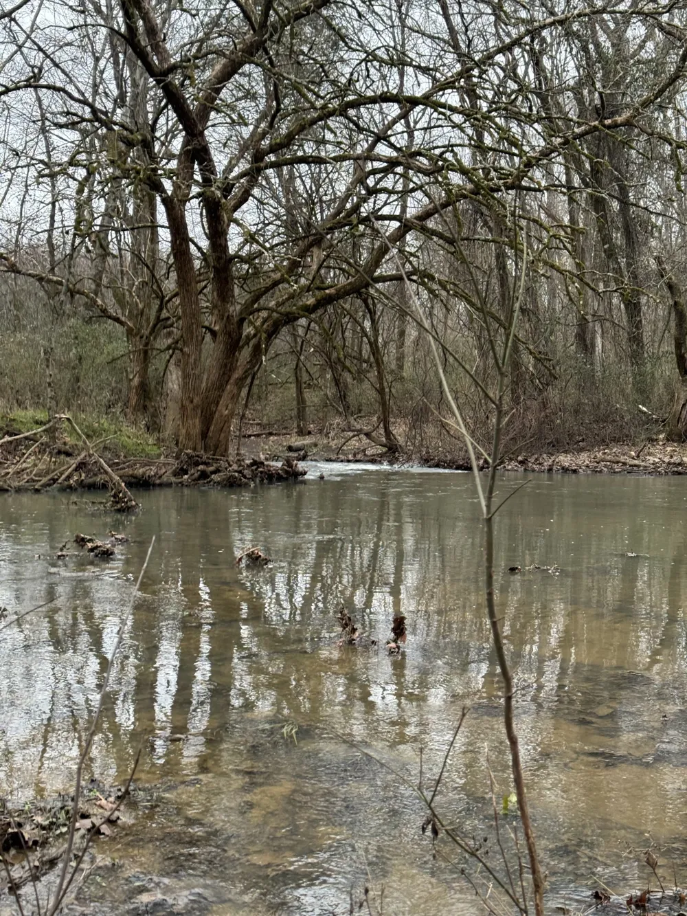 0 Zion Hill Rd Unionville, TN 37180