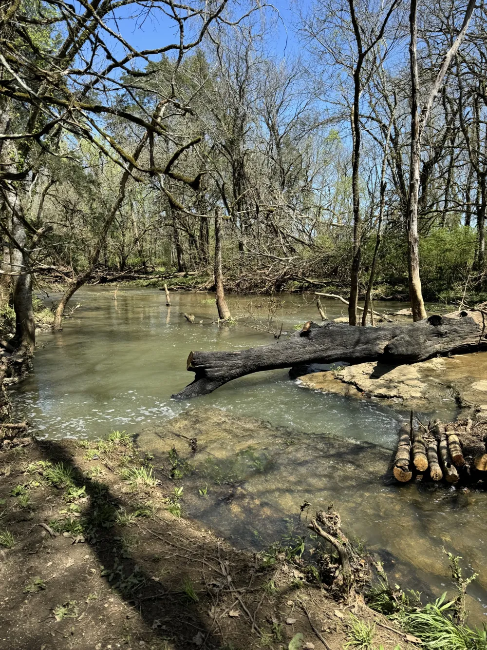 0 Zion Hill Rd Unionville, TN 37180