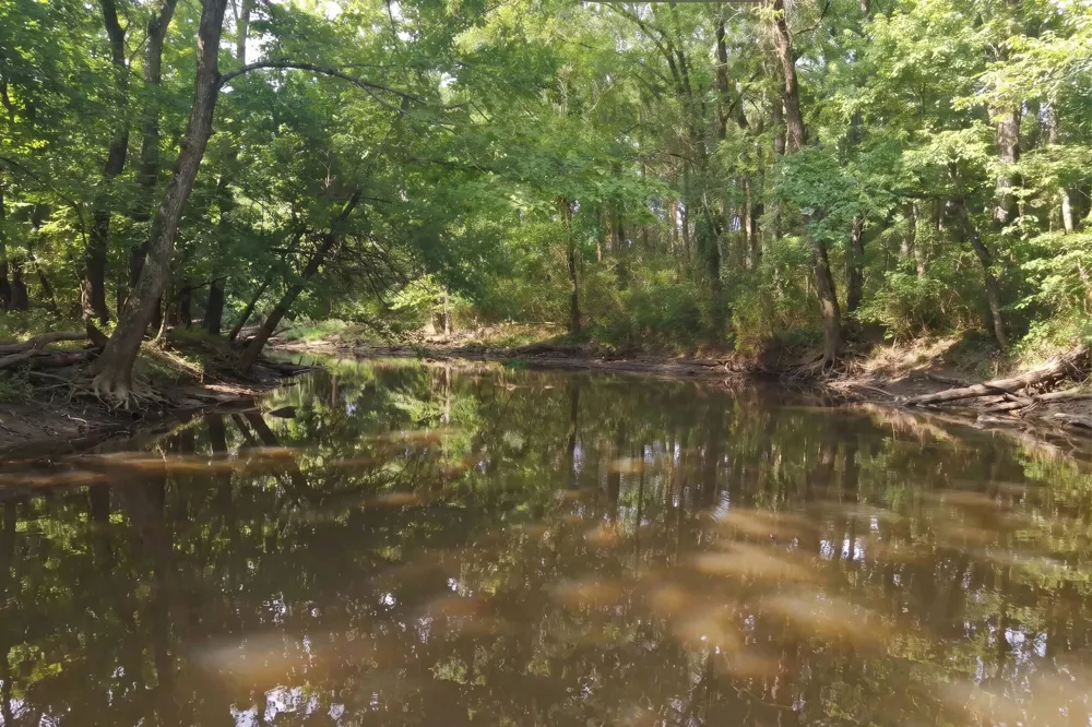 0 Zion Hill Rd Unionville, TN 37180