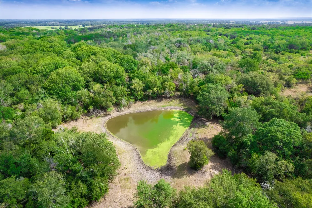 12135 Fm 1322 Luling, TX 78648