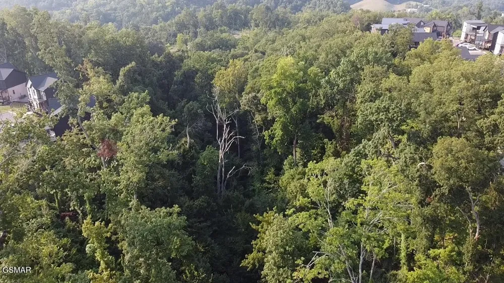 145 Reedmont Way Sevierville, TN 37876